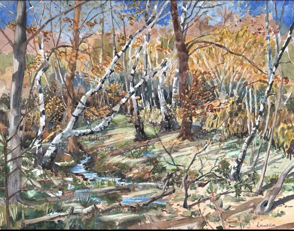 On the Edge of the Woods